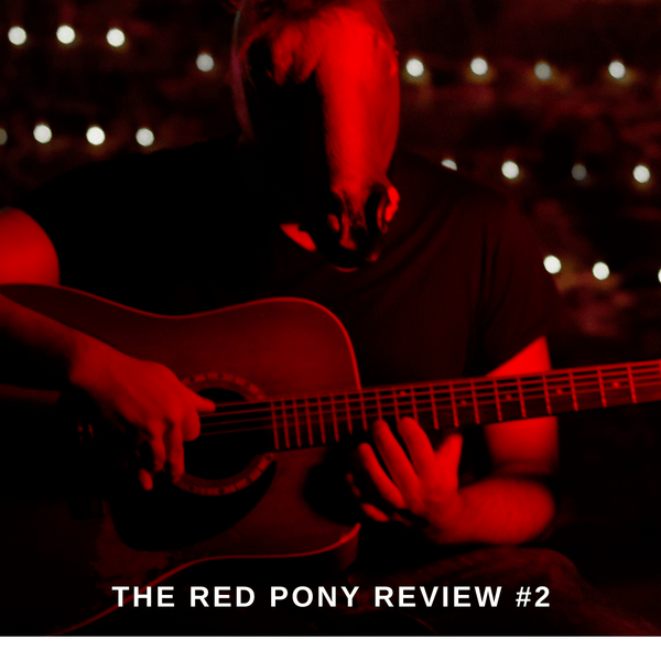 Best Ambient Albums | The Red Pony Review #2