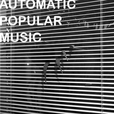 Nicola Ratti - Automatic Popular Music - ElMuelle1931