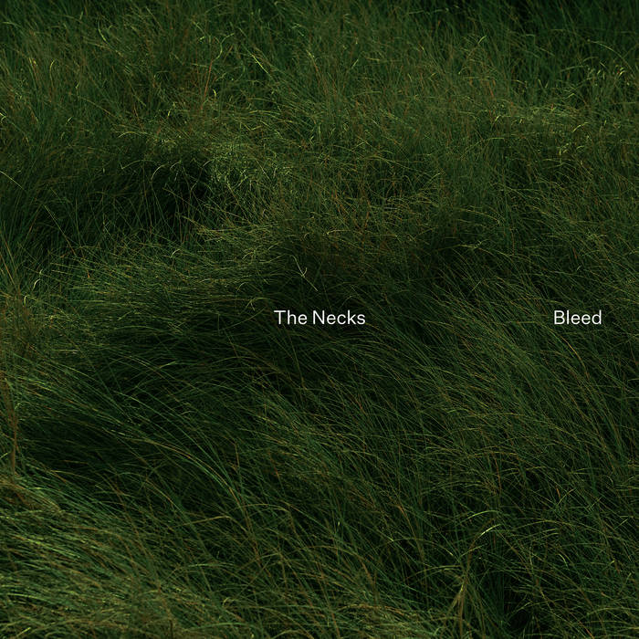 The Necks - Bleed - ElMuelle1931